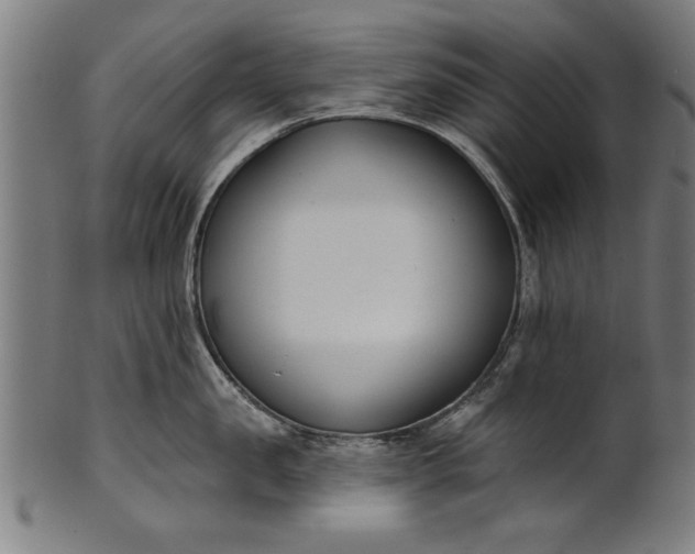 X0000101200957200807111006