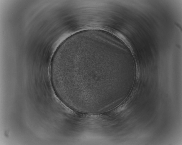 X0000101200958200807111006