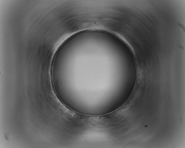 X0000101200959200807111006