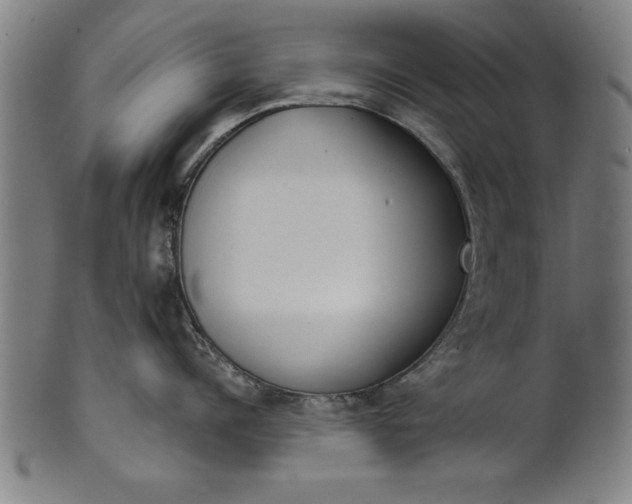 X0000101200960200807111006