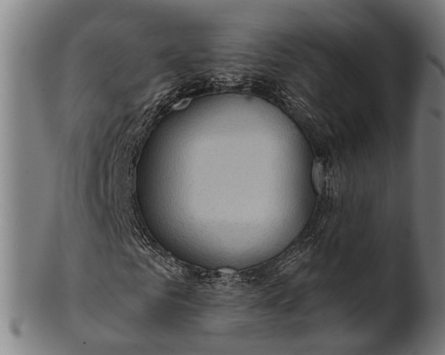 X0000101200961200807111006