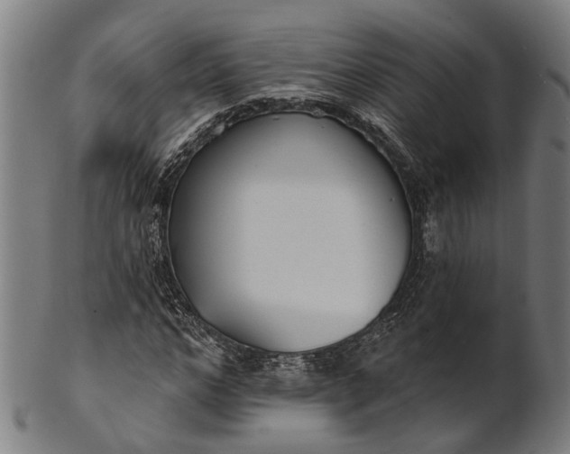 X0000101200968200807111006