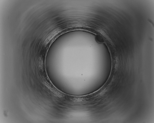X0000101200969200807111006