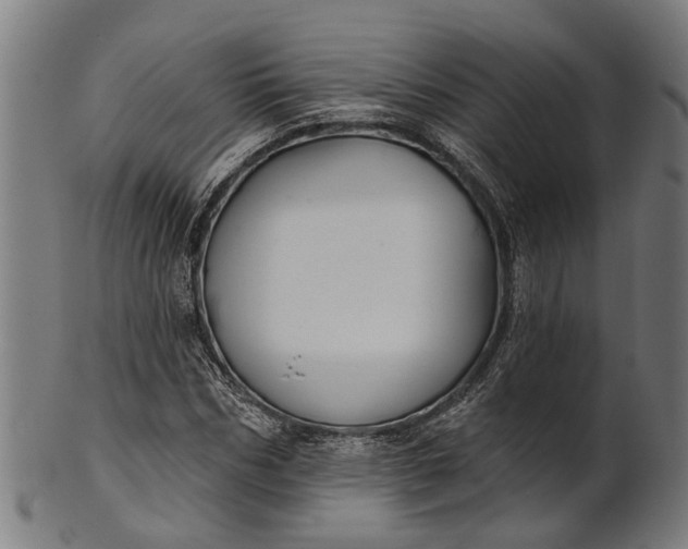 X0000101200970200807111005