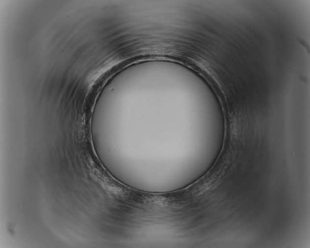 X0000101200971200807111005