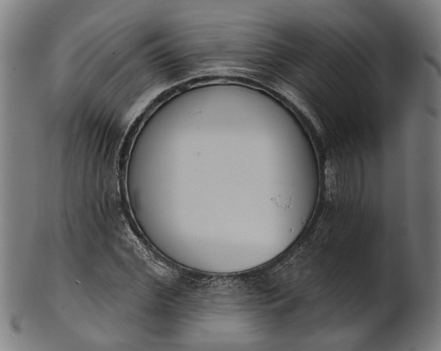 X0000101200972200807111005