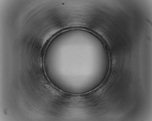 X0000101200973200807111005