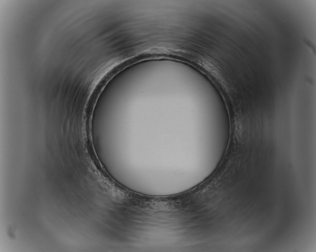 X0000101200976200807111005