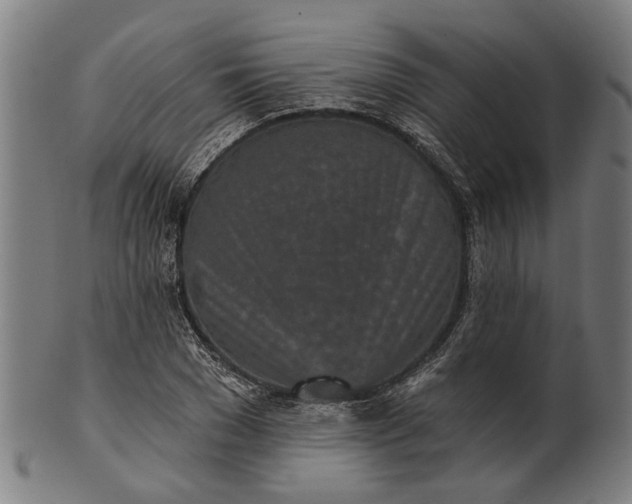 X0000101200977200807111005