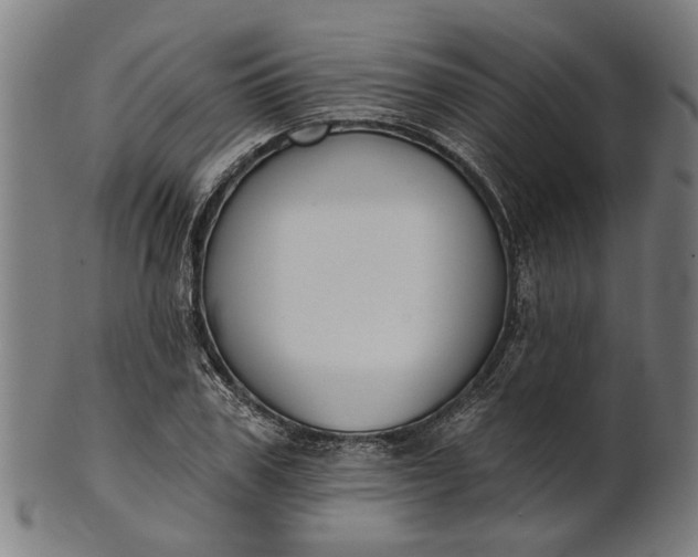 X0000101200979200807111005