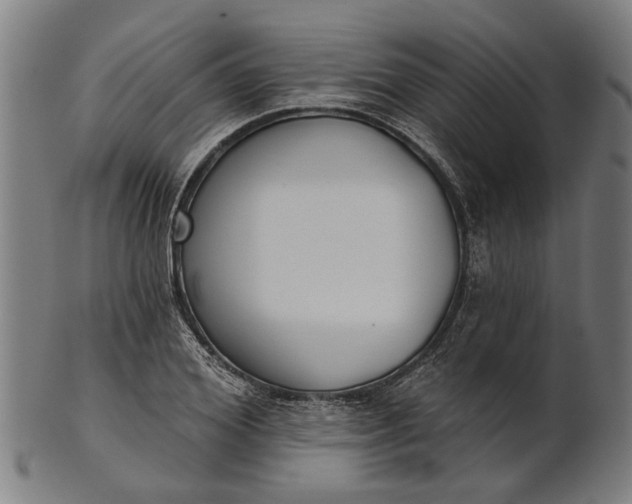 X0000101200980200807111005