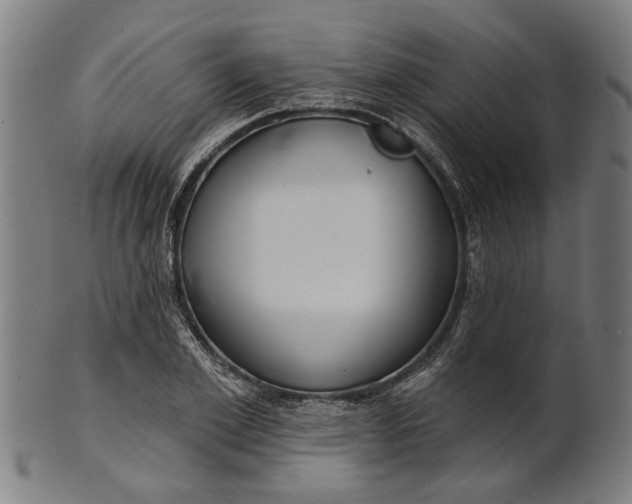 X0000101200981200807111005