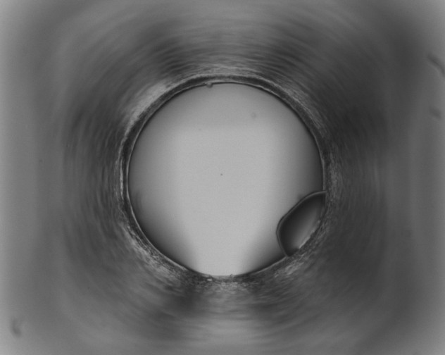 X0000101200982200807111005