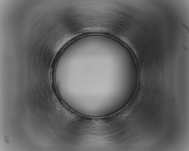 X0000101200983200807111005