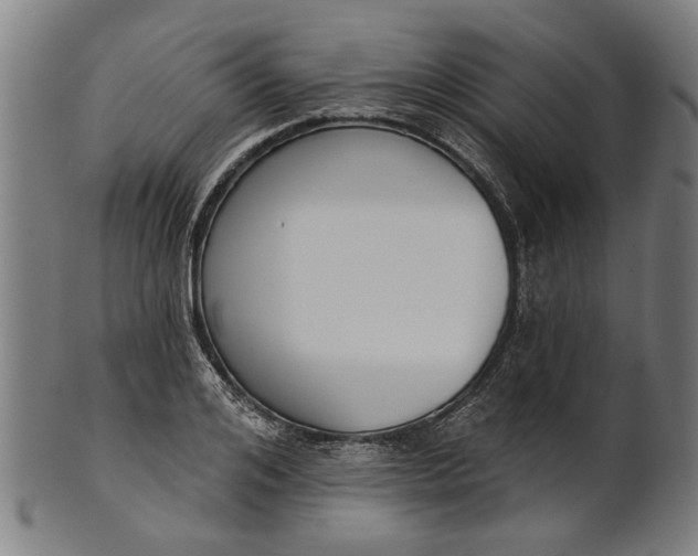 X0000101200984200807111005