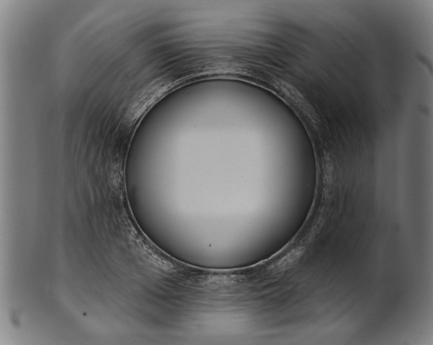 X0000101200985200807111005