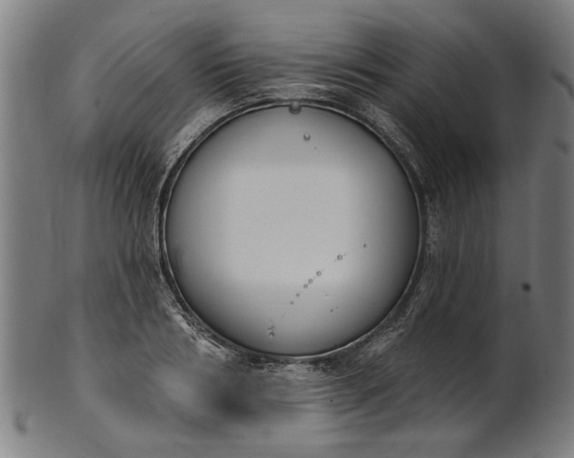 X0000101200986200807111005