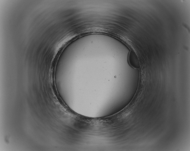 X0000101200987200807111005