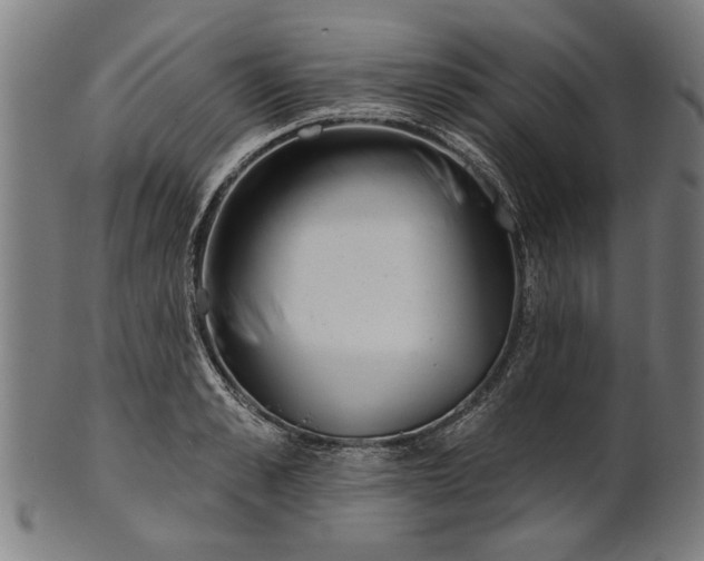 X0000101200989200807111005