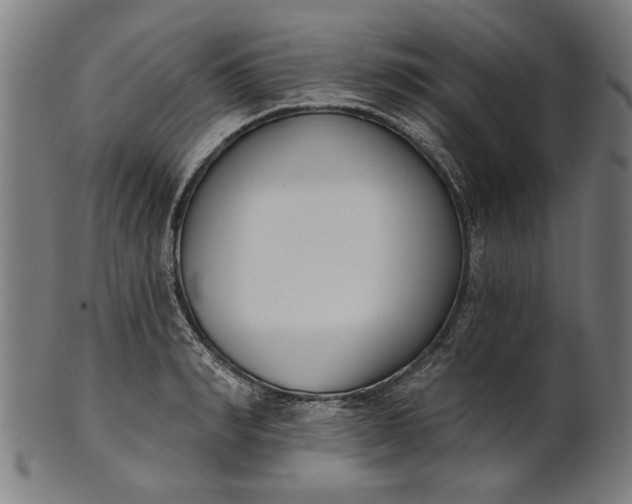 X0000101200990200807111005