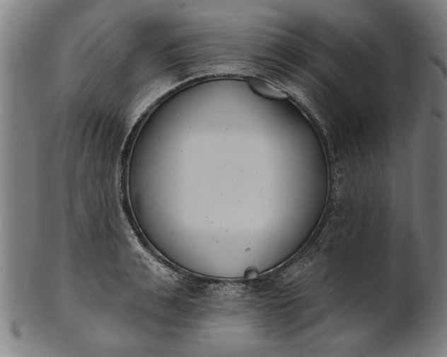 X0000101200991200807111005
