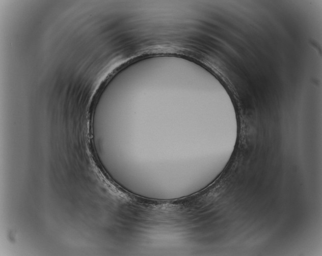 X0000101200992200807111005