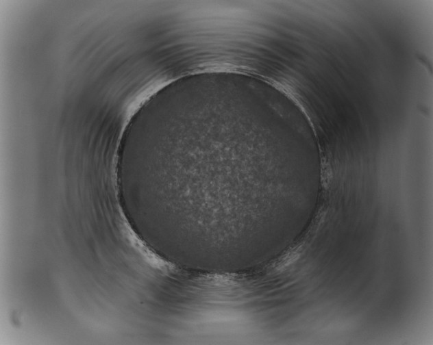 X0000101200995200807111005