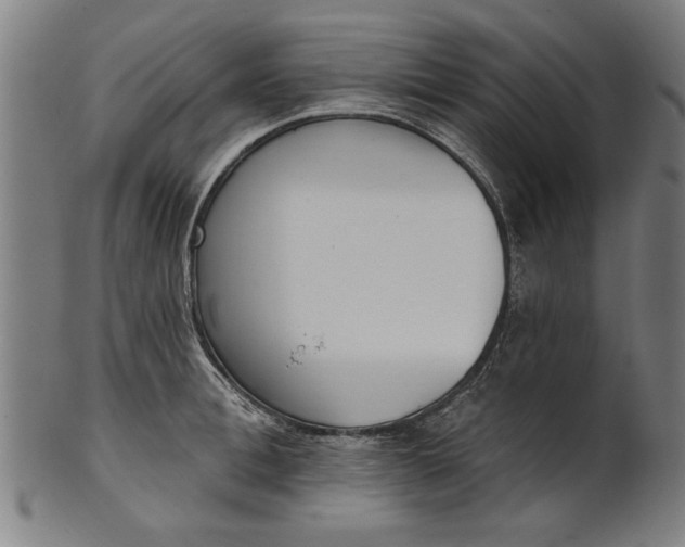 X0000101200996200807111005
