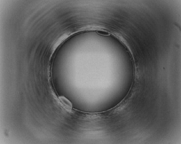 X0000101200997200807111005