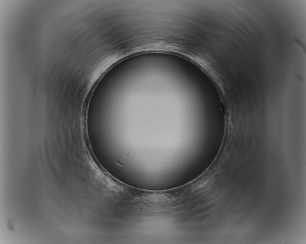 X0000101200998200807111005