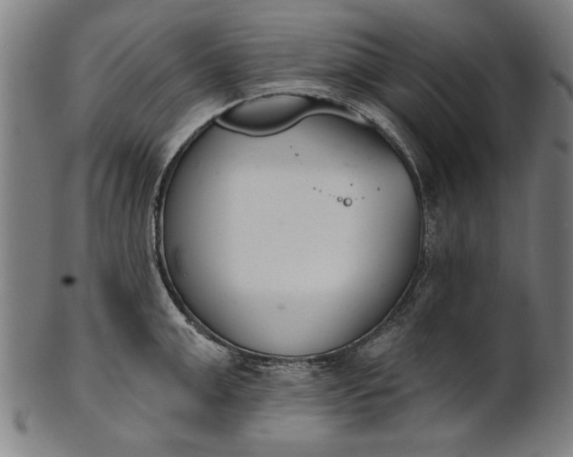 X0000101200999200807111005