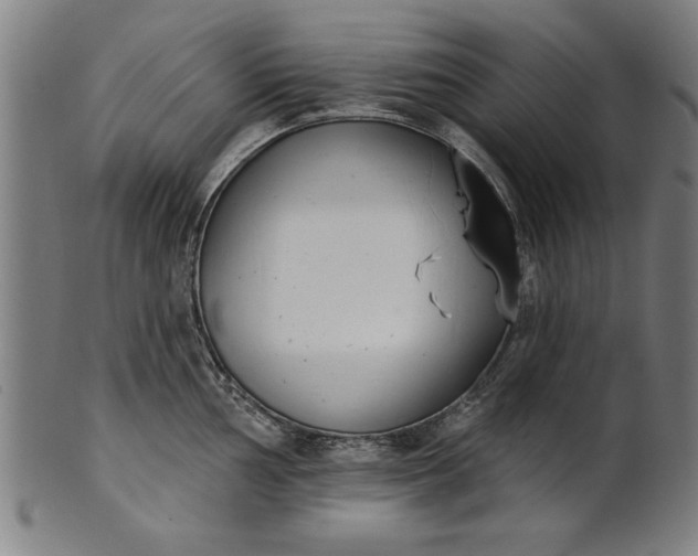 X0000101201002200807111005