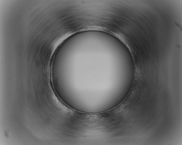 X0000101201003200807111005