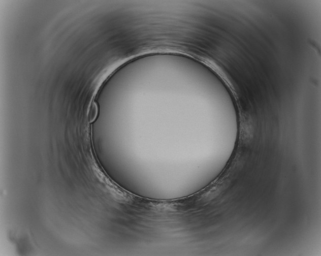 X0000101201004200807111005