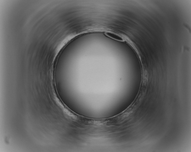 X0000101201005200807111005