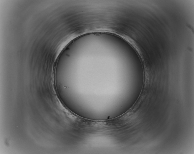 X0000101201006200807111005