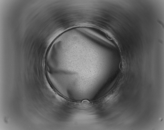 X0000101201007200807111005