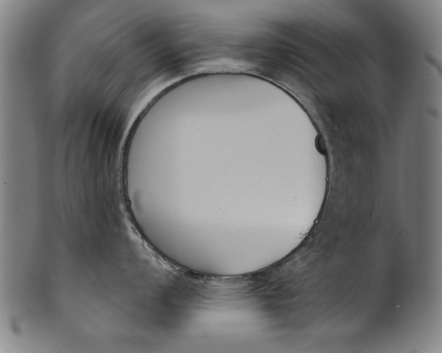 X0000101201008200807111005