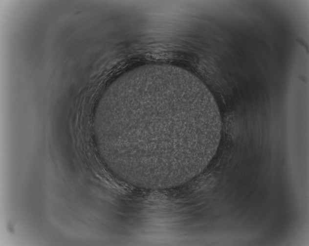 X0000101201009200807111004