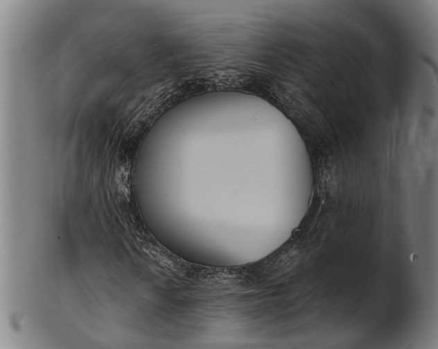 X0000101201010200807111004