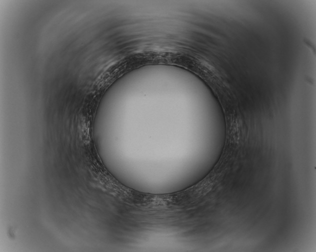 X0000101201013200807111004