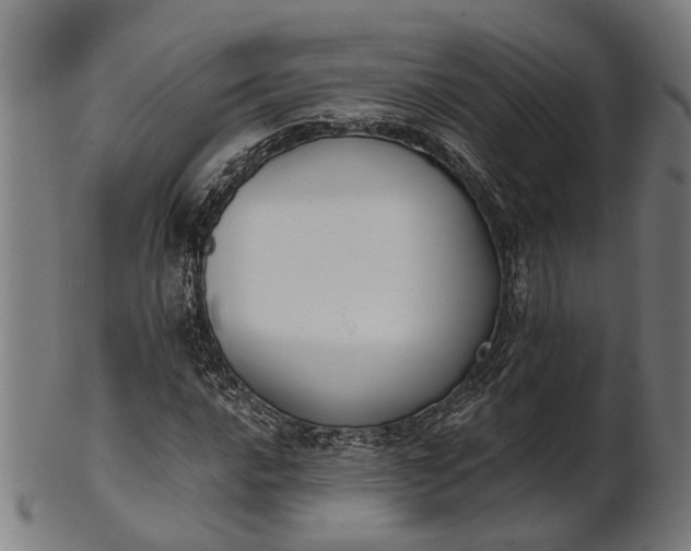 X0000101201016200807111004