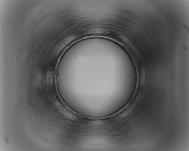 X0000101201017200807111004