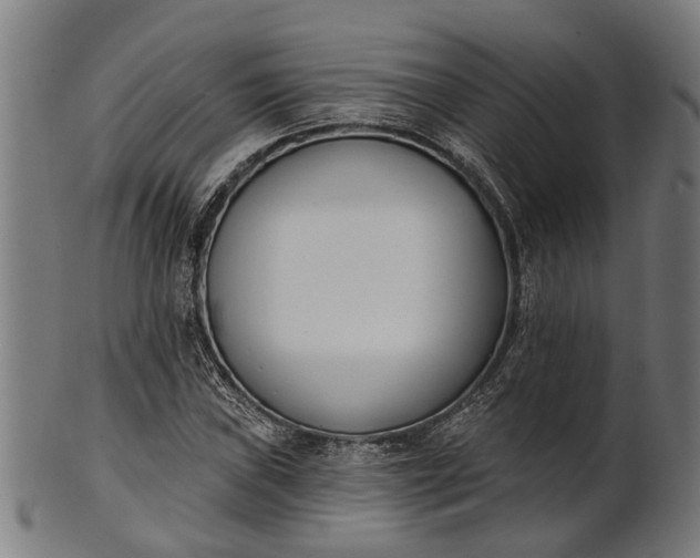 X0000101201019200807111004