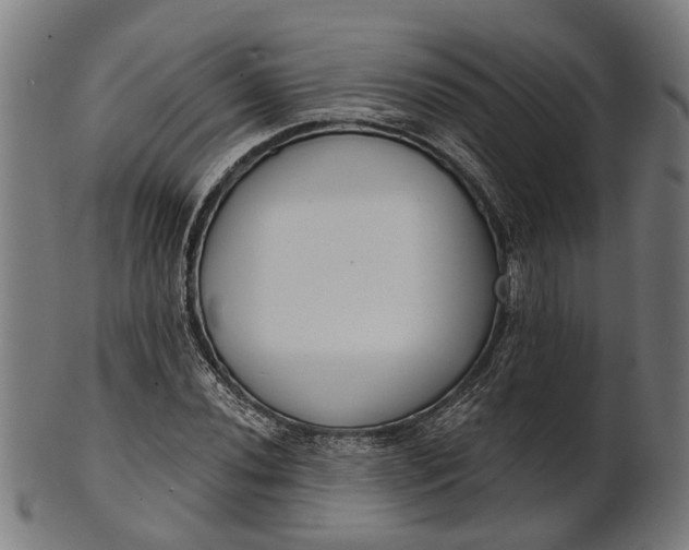 X0000101201020200807111004