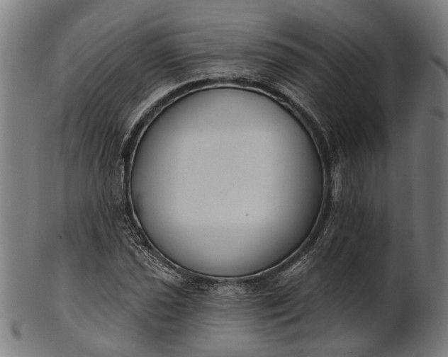 X0000101201021200807111004