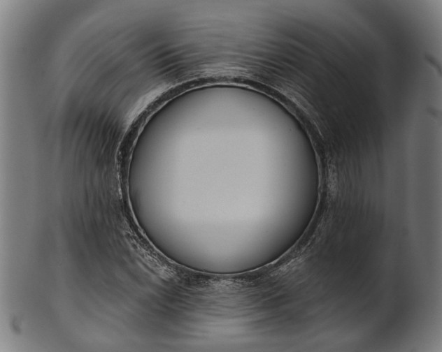 X0000101201022200807111004