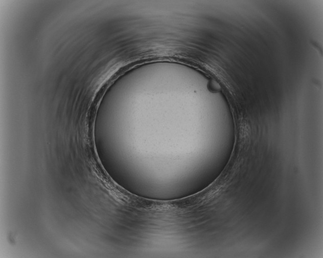 X0000101201023200807111004
