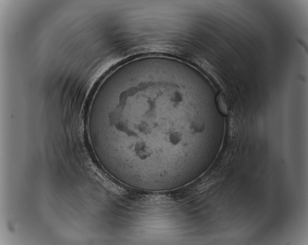X0000101201024200807111004