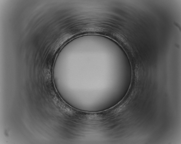 X0000101201025200807111004